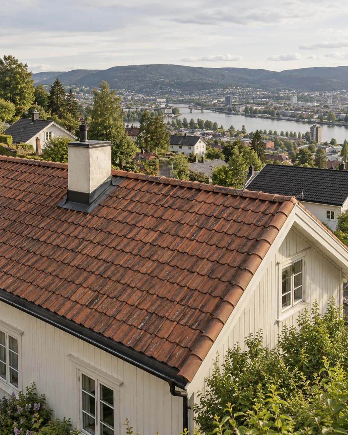 Illustrasjon av tegltak på trehus i en grønn dalside, inspirert av boligområder i Drammen